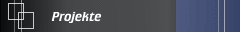 Projekte